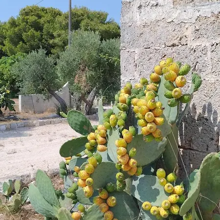 Apartment Donnamaria